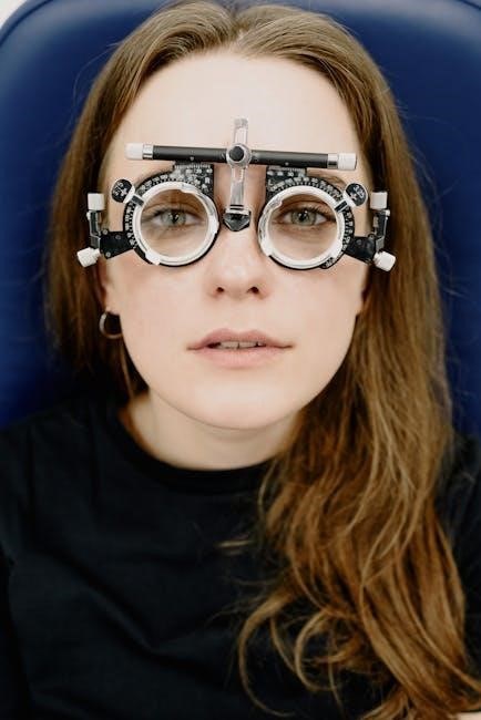 eyesight off check manual