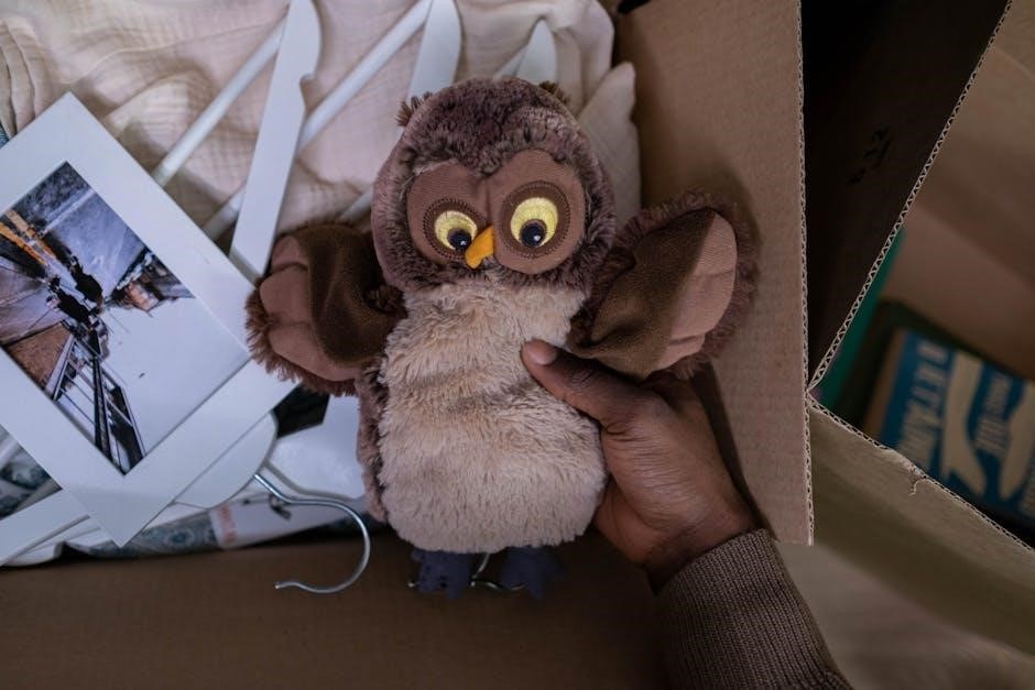 screech owl box plans pdf