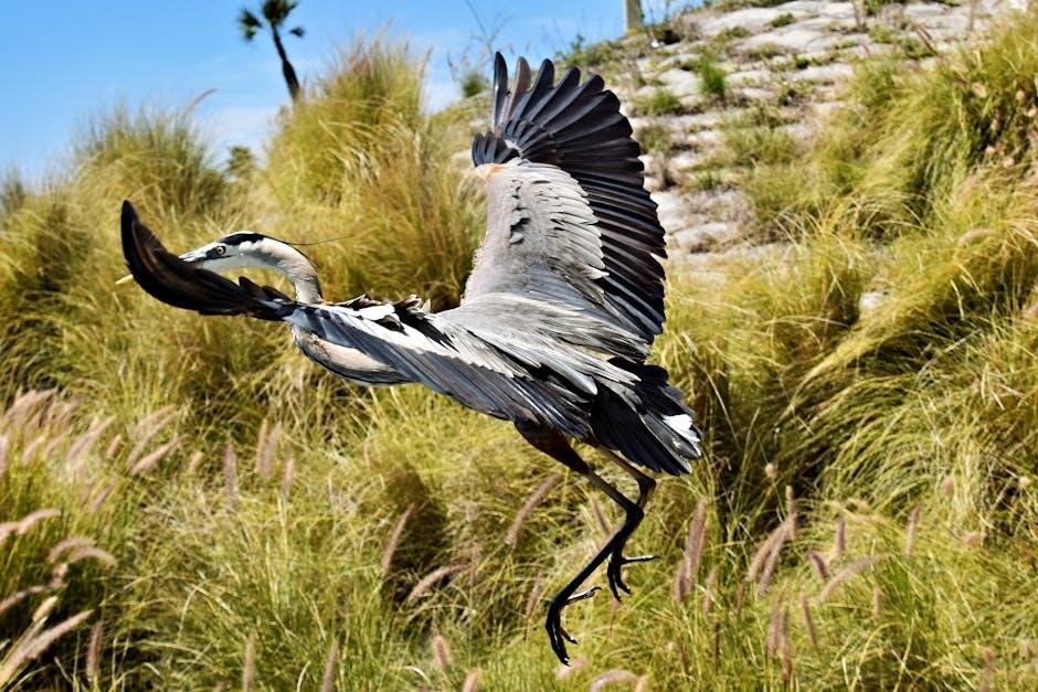 motion to dismiss florida pdf