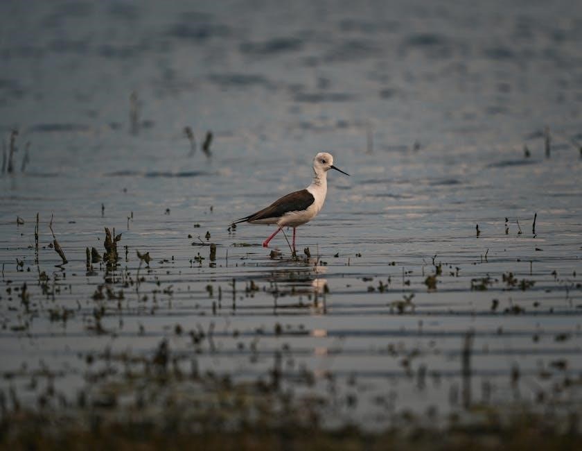 rg colorado workshop manual pdf free download